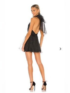 Lovers + friends heartbreaker dress NWT